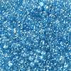 Glass Seed Beads SEED-L011-05B-13-3
