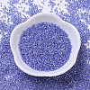 MIYUKI Delica Beads SEED-J020-DB0243-3