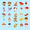 50Pcs Cartoon Mushroom Series PP Adhesive Waterproof Stickers Self-Adhesive Stickers PW-WG45951-01-3