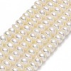 Natural Cultured Freshwater Pearl Beads Strands PEAR-A005-02A-1