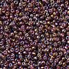 MIYUKI Round Rocailles Beads SEED-JP0008-RR1005-4