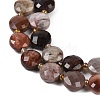 Natural Petrified Wood Beads Strands G-B094-A10-01-3