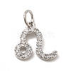 Brass Micro Pave Cubic Zirconia Charms KK-E077-02P-01-1