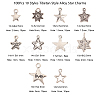 100Pcs 10 Styles Tibetan Style Alloy Star Charms TIBEP-CJ0001-48-3