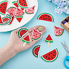 20Pcs 4 Styles Watermelon Nylon Computerized Embroidery Cloth Iron on/Sew on Patches DIY-HY0002-87-3