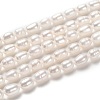 Natural Cultured Freshwater Pearl Beads Strands PEAR-L033-62-1