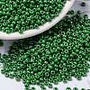 MIYUKI Round Rocailles Beads SEED-X0055-RR0431-1