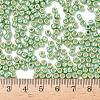 TOHO 6/0 Round Beads SEED-TR06-PF0560-4