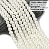 Eco-Friendly Dyed Glass Pearl Beads Strands HY-A008-6mm-RB002-2