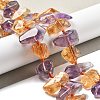 Natural Ametrine Beads Strands G-C179-C01-01-2