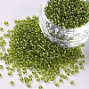 12/0 Glass Seed Beads SEED-US0003-2mm-24-1