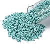 TOHO Round Seed Beads X-SEED-TR08-0413F-2