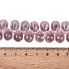 Baking Paint Transparent Glass Beads Strands GL-N005-02A-D03-4