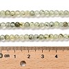 Natural Prehnite Beads Strands G-B107-E01-02-5