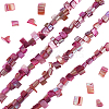 4 Strands Dyed Natural Freshwater Shell Beads Strands SHEL-BBC0001-14C-1