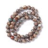 Natural Aqua Terra Jasper Beads Strands G-K317-A02-4