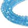 Imitation Jade Glass Beads Strands EGLA-A034-T2mm-MB08-4