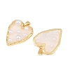 Rack Plating Brass & Epoxy Resin Pendants KK-C059-10A-G-2