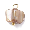 Natural Dyed Shell Charms PALLOY-JF01339-05-2