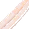 Glass Beads Strands GLAA-G083-01B-1
