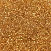 Transparent Colours Glass Round Seed Beads SEED-B001-06A-05-3