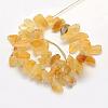 Rough Raw Natural Citrine Beads Strands G-K202-17C-2