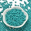 Baking Paint Pearlized Glass Seed Beads SEED-C001-04A-06-2