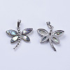 Abalone Shell/Paua Shell Pendants X-SSHEL-L008-07P-3