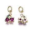 Brass Micro Pave Green & Purple Cubic Zirconia Charms ZIRC-S067-006-NR-2