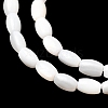 Natural Freshwater Shell Beads Strands SHEL-K006-06-2