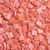 MIYUKI TILA Beads X-SEED-J020-TL406FR-2