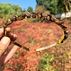 Natural Tiger Eye Hair Bands PW-WGC1C33-59-1