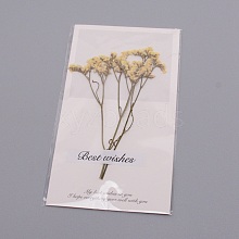Paper Cards DIY-WH0183-41G