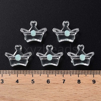 Transparent Acrylic Beads MACR-S373-105-B03-1