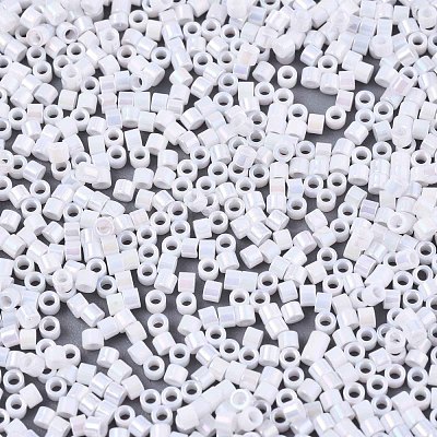 FGB 11/0 Grade A Baking Paint Glass Seed Beads X-SEED-S030-0401-1
