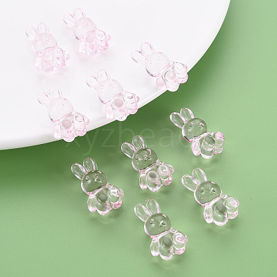 Transparent Acrylic Beads LS-MACR-S373-81-B03-1