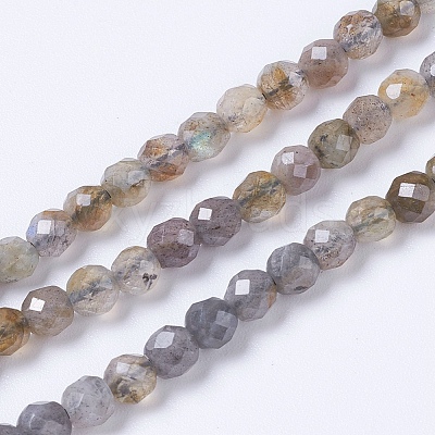 Natural Labradorite Beads Strands G-F568-199-4mm-1