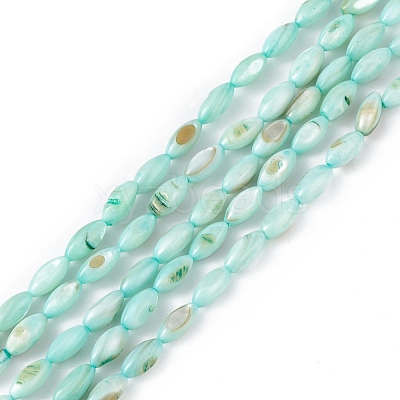 Natural Freshwater Shell Dyed Beads Strands SHEL-M018-13-1