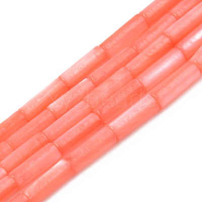 Natural Freshwater Shell Beads Strand SHEL-T017-40C-1