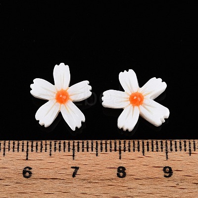 Natural Freshwater Shell Beads Strands X-SHEL-F004-04-01-1