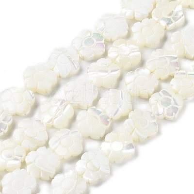 Natural Trochus Shell Beads Strands BSHE-E030-03-1