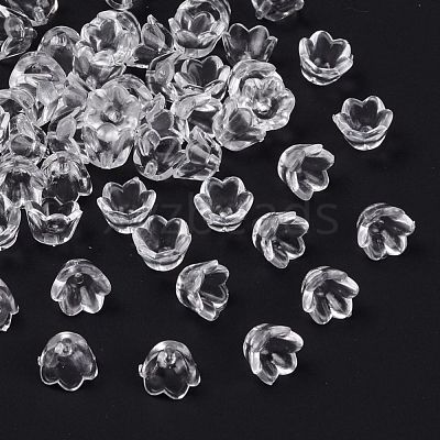 Transparent Acrylic Beads X-PL548-1-1