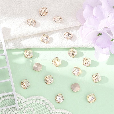Preciosa® MAXIMA Crystal Fancy Stones X-PRC-FC10-00030-235-1