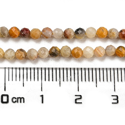 Natural Crazy Lace Agate Beads Strands G-K020-3mm-29-1