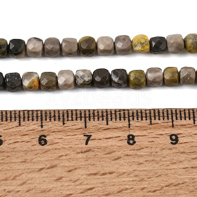 Natural Bumblebee Jasper Beads Strands GG-CBA0C5B-A04-1