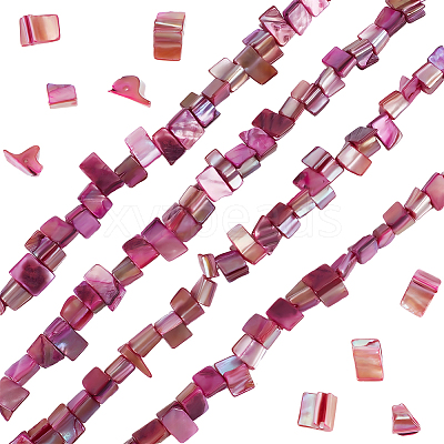 4 Strands Dyed Natural Freshwater Shell Beads Strands SHEL-BBC0001-14C-1