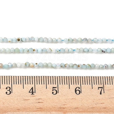 Natural Larimar Beads Strands G-L627-A01-2mm-1