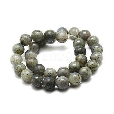 Natural Labradorite Bead Strands G-P256-01-4mm-1