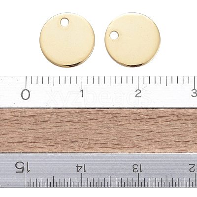 304 Stainless Steel Charms STAS-F174-06G-1