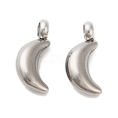 304 Stainless Steel Charms LS-STAS-M017-14C-P-1-1